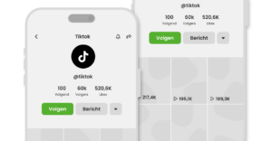 Mockup - Overzicht van een TikTok profiel
