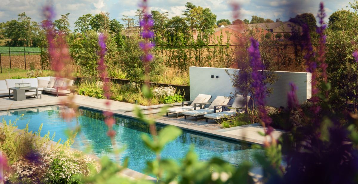 Een sfeervolle moderne achtertuin ontworpen door Bindels Buiten Beleving, voorzien van een strak blauw zwembad, een lichte loungehoek en comfortabele ligbedden, omgeven door weelderige beplanting met paarse bloemen en met uitzicht op het platteland.